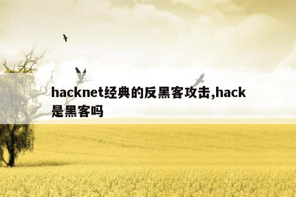 hacknet经典的反黑客攻击,hack是黑客吗