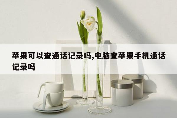 苹果可以查通话记录吗,电脑查苹果手机通话记录吗