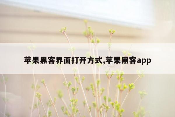 苹果黑客界面打开方式,苹果黑客app