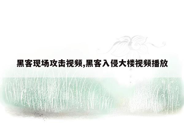 黑客现场攻击视频,黑客入侵大楼视频播放