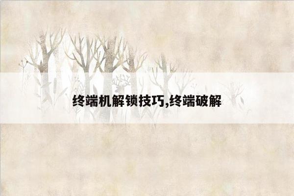 终端机解锁技巧,终端破解