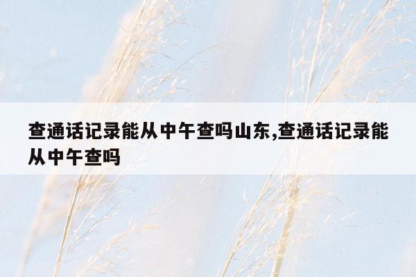 查通话记录能从中午查吗山东,查通话记录能从中午查吗