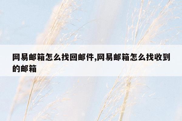 网易邮箱怎么找回邮件,网易邮箱怎么找收到的邮箱