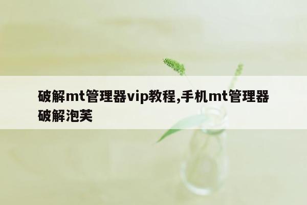 破解mt管理器vip教程,手机mt管理器破解泡芙