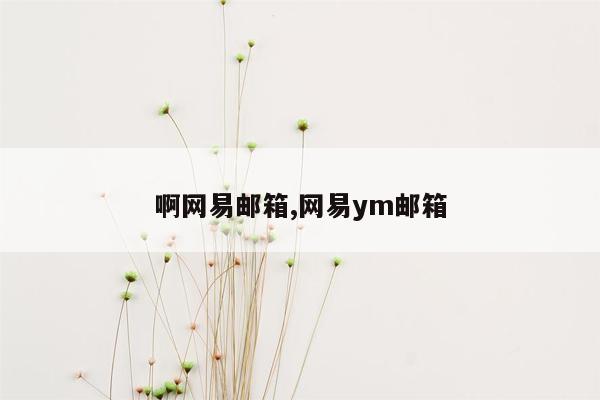 啊网易邮箱,网易ym邮箱