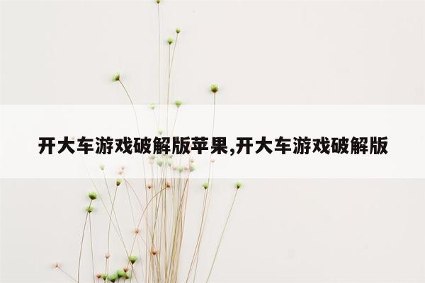 开大车游戏破解版苹果,开大车游戏破解版