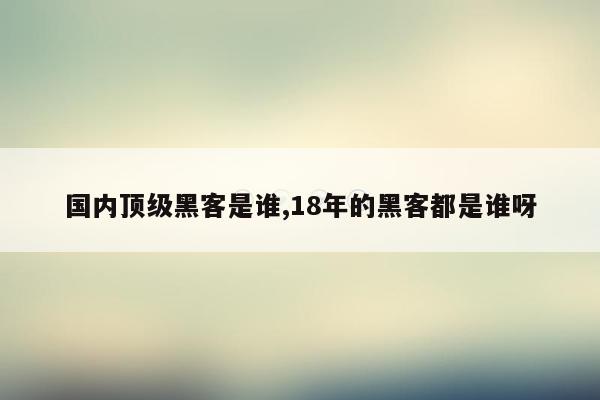 国内顶级黑客是谁,18年的黑客都是谁呀