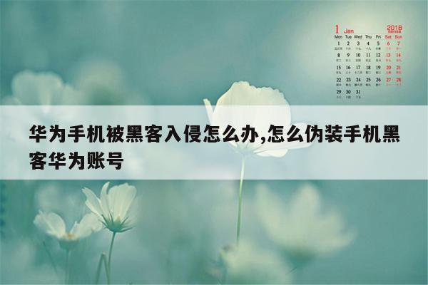 华为手机被黑客入侵怎么办,怎么伪装手机黑客华为账号