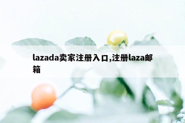 lazada卖家注册入口,注册laza邮箱