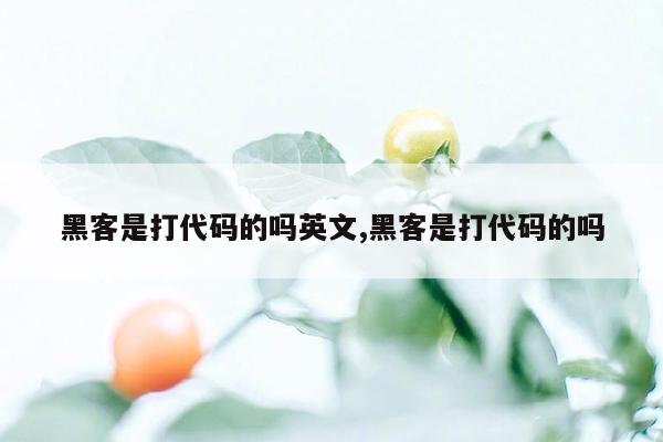 黑客是打代码的吗英文,黑客是打代码的吗