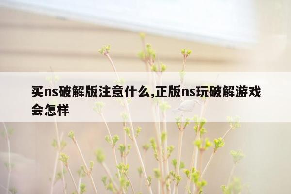 买ns破解版注意什么,正版ns玩破解游戏会怎样