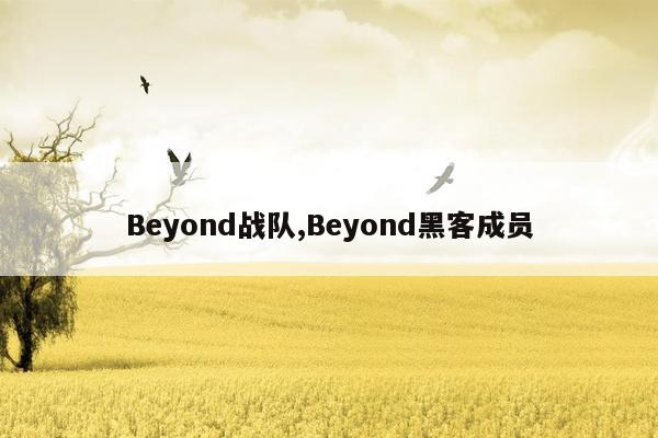 Beyond战队,Beyond黑客成员