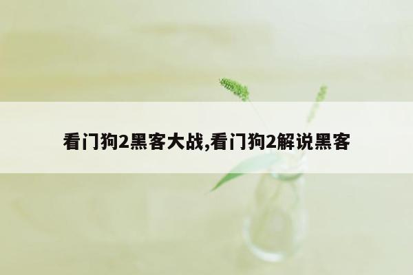 看门狗2黑客大战,看门狗2解说黑客