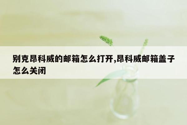 别克昂科威的邮箱怎么打开,昂科威邮箱盖子怎么关闭