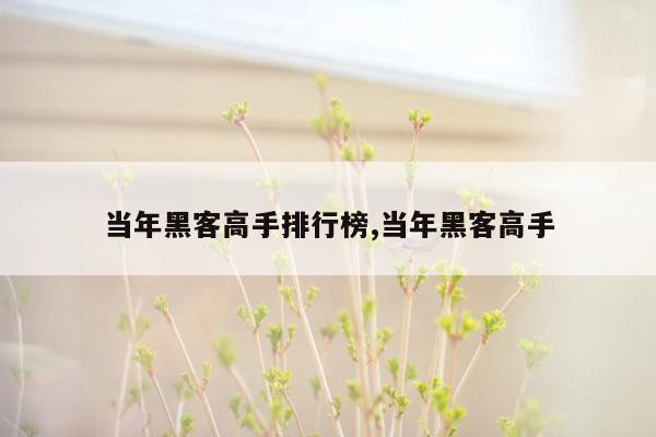 当年黑客高手排行榜,当年黑客高手