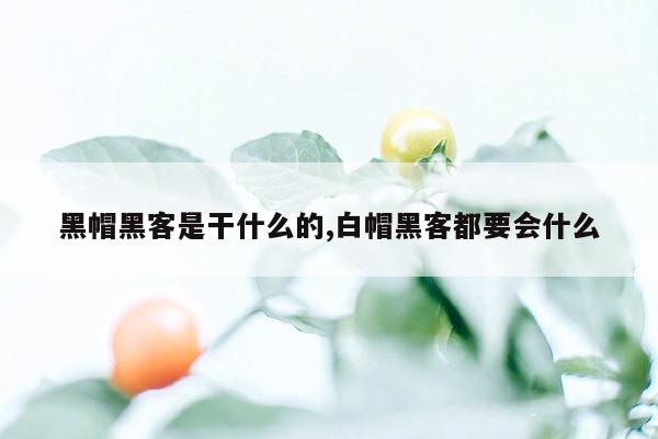 黑帽黑客是干什么的,白帽黑客都要会什么