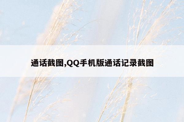 通话截图,QQ手机版通话记录截图