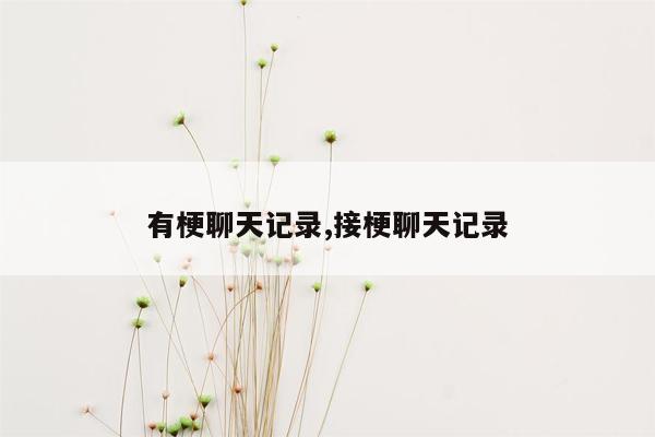 有梗聊天记录,接梗聊天记录