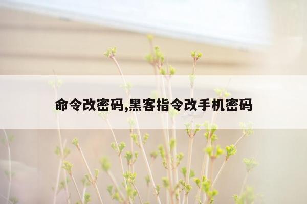 命令改密码,黑客指令改手机密码