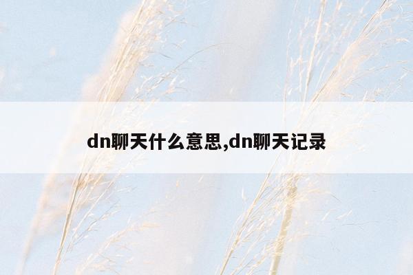 dn聊天什么意思,dn聊天记录