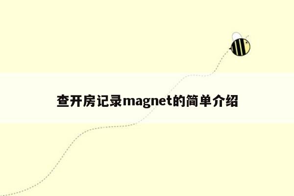 查开房记录magnet的简单介绍