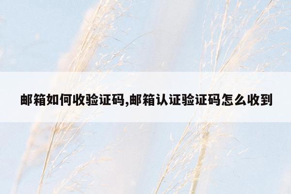 邮箱如何收验证码,邮箱认证验证码怎么收到