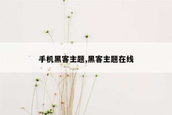 手机黑客主题,黑客主题在线