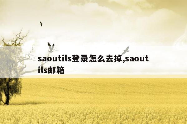 saoutils登录怎么去掉,saoutils邮箱