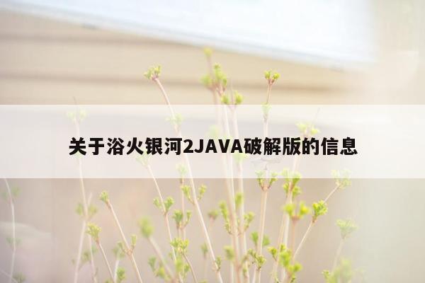 关于浴火银河2JAVA破解版的信息