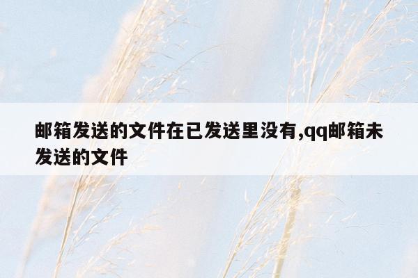 邮箱发送的文件在已发送里没有,qq邮箱未发送的文件