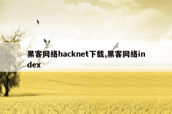 黑客网络hacknet下载,黑客网络index