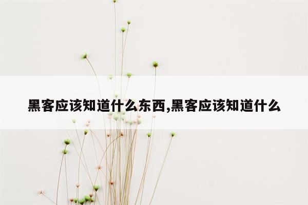 黑客应该知道什么东西,黑客应该知道什么