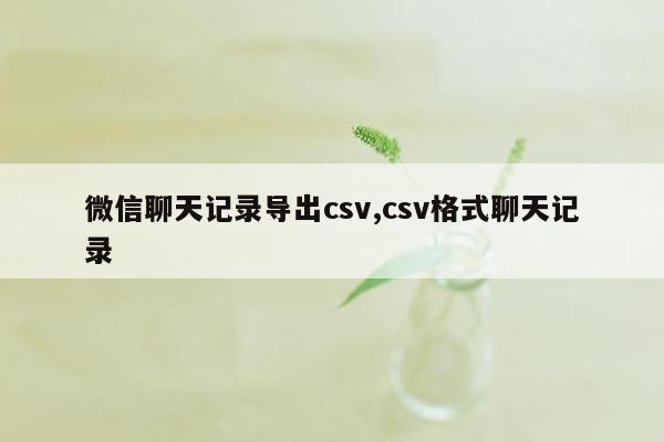 微信聊天记录导出csv,csv格式聊天记录