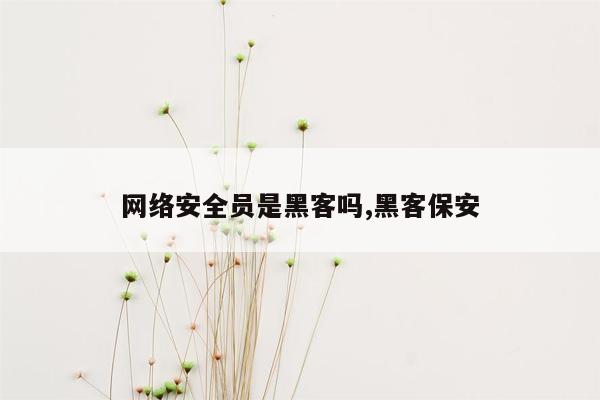 网络安全员是黑客吗,黑客保安