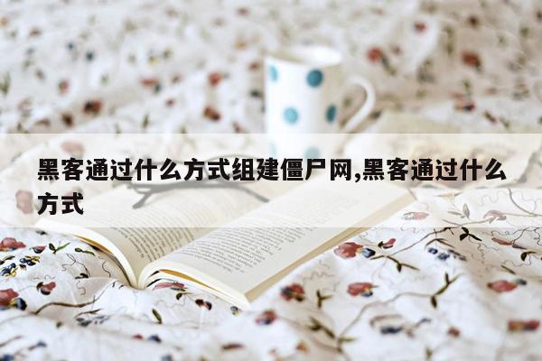 黑客通过什么方式组建僵尸网,黑客通过什么方式