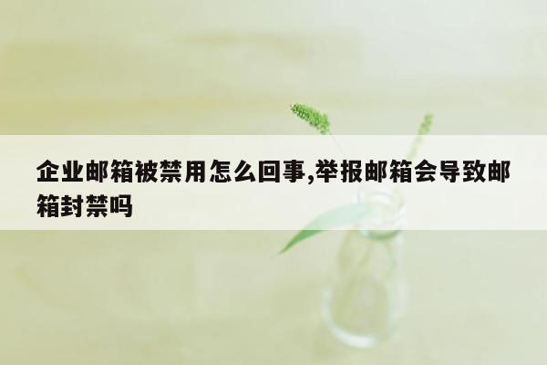 企业邮箱被禁用怎么回事,举报邮箱会导致邮箱封禁吗