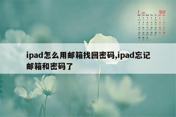 ipad怎么用邮箱找回密码,ipad忘记邮箱和密码了