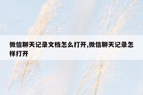 微信聊天记录文档怎么打开,微信聊天记录怎样打开