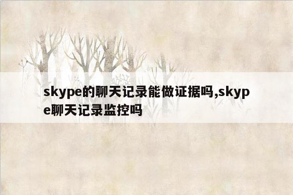 skype的聊天记录能做证据吗,skype聊天记录监控吗