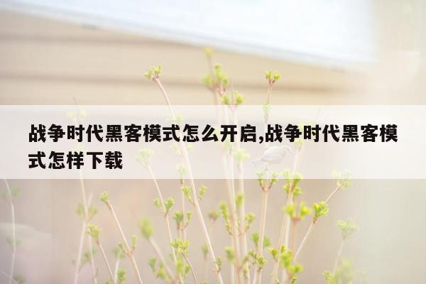 战争时代黑客模式怎么开启,战争时代黑客模式怎样下载