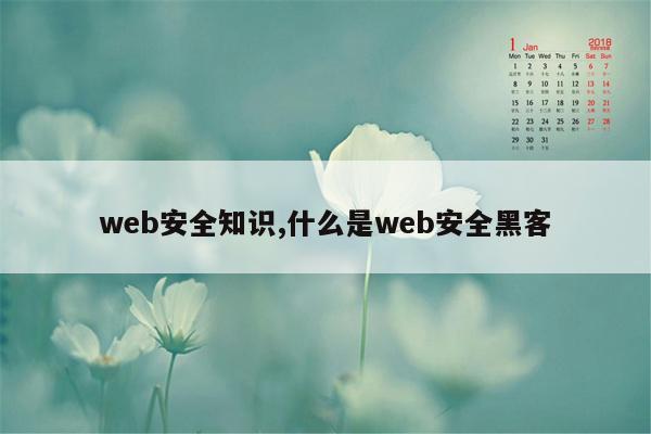 web安全知识,什么是web安全黑客