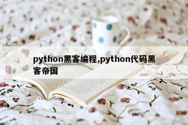 python黑客编程,python代码黑客帝国