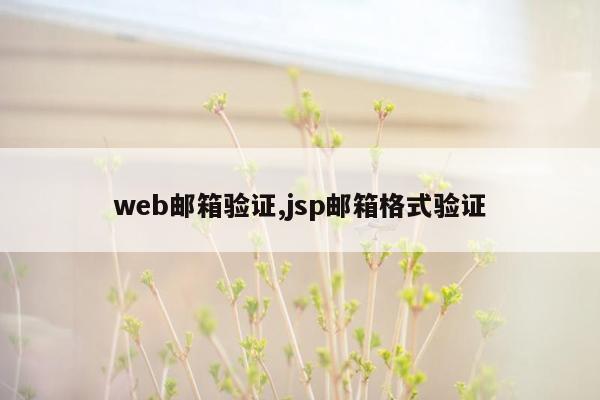 web邮箱验证,jsp邮箱格式验证