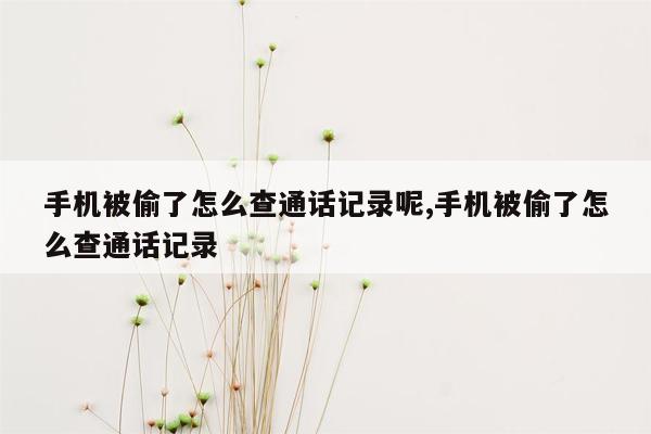 手机被偷了怎么查通话记录呢,手机被偷了怎么查通话记录