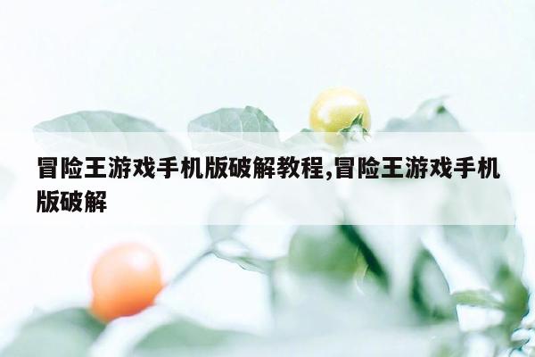 冒险王游戏手机版破解教程,冒险王游戏手机版破解