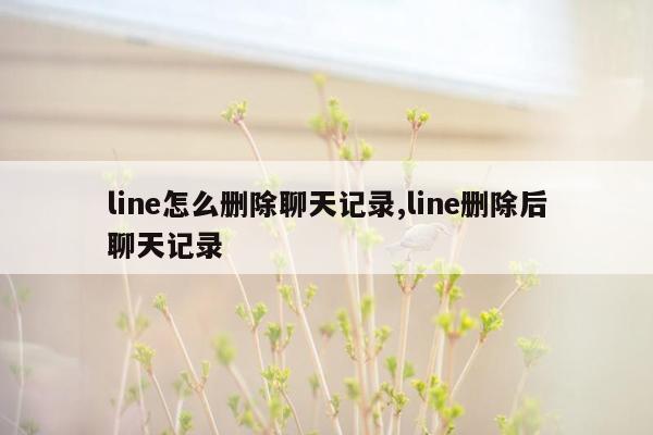 line怎么删除聊天记录,line删除后聊天记录