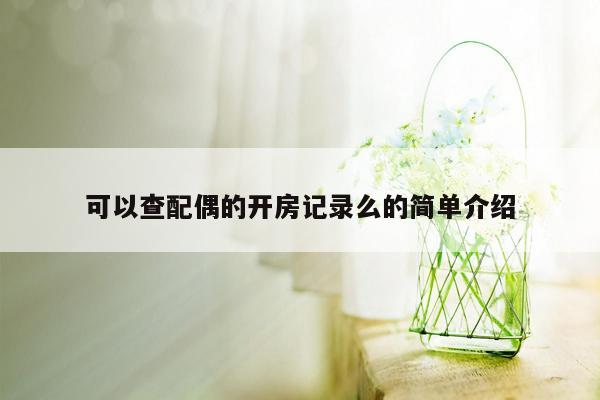 可以查配偶的开房记录么的简单介绍