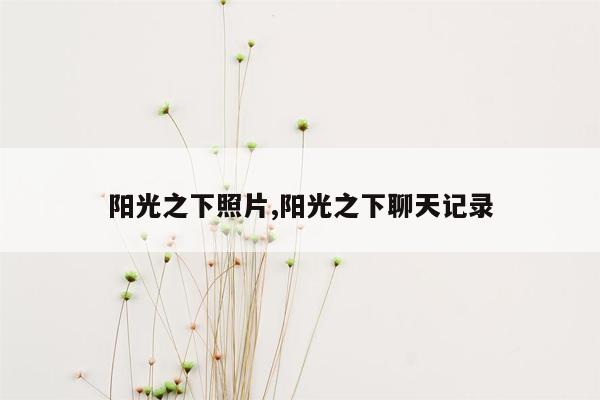 阳光之下照片,阳光之下聊天记录