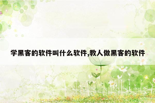 学黑客的软件叫什么软件,教人做黑客的软件