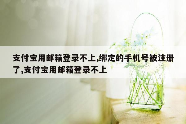 支付宝用邮箱登录不上,绑定的手机号被注册了,支付宝用邮箱登录不上